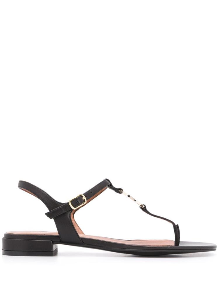 Sandalias Armani Emporio Buckled Logo Mujer Negras | WKEY1QGZ